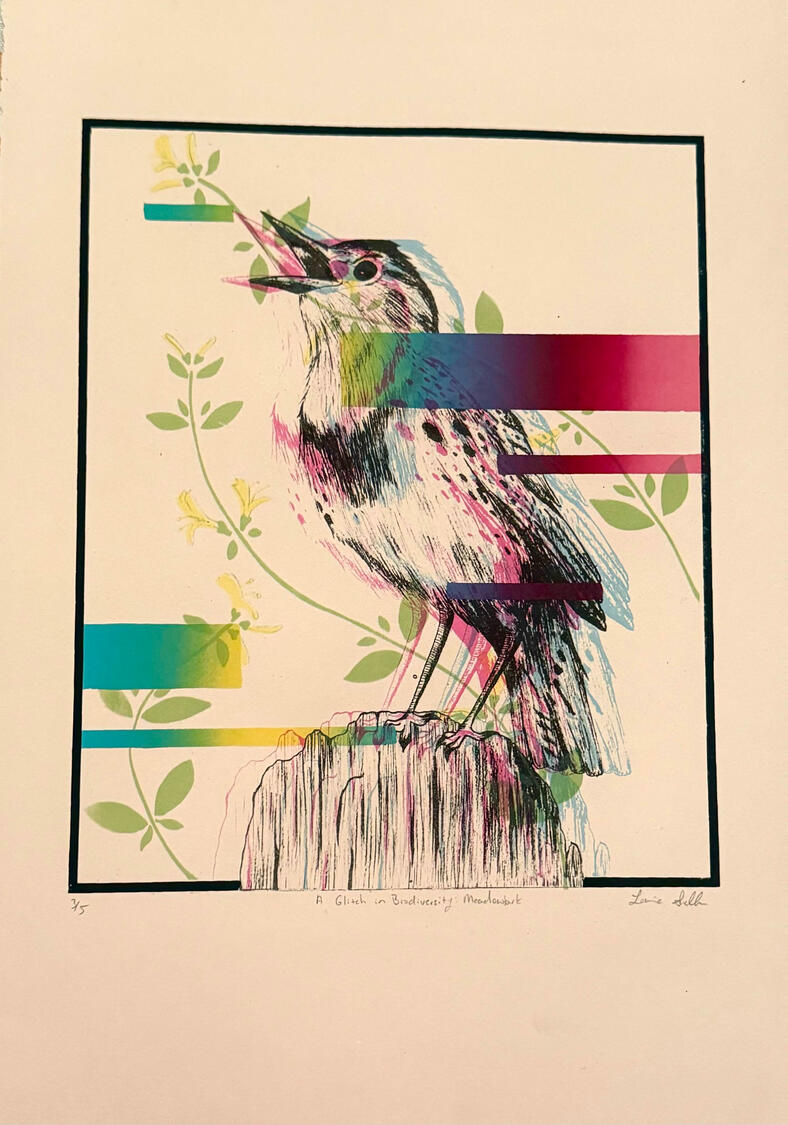 A Glitch in Biodiversity: Meadowlark, Photolithograph and Screenprint on Stonehenge, 2022