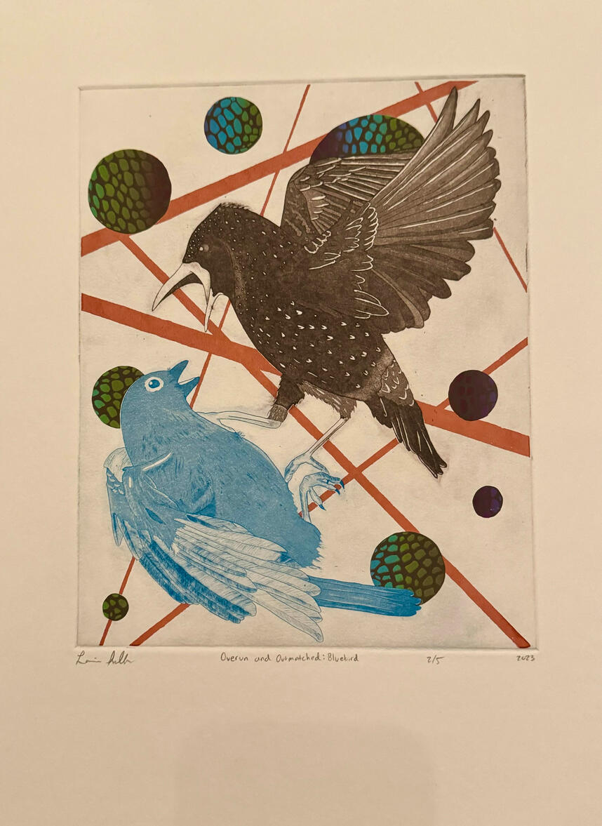 Overrun and Outmatched: Bluebird, Intaglio and Screenprint on Stonehenge, 11" x 15", 2023