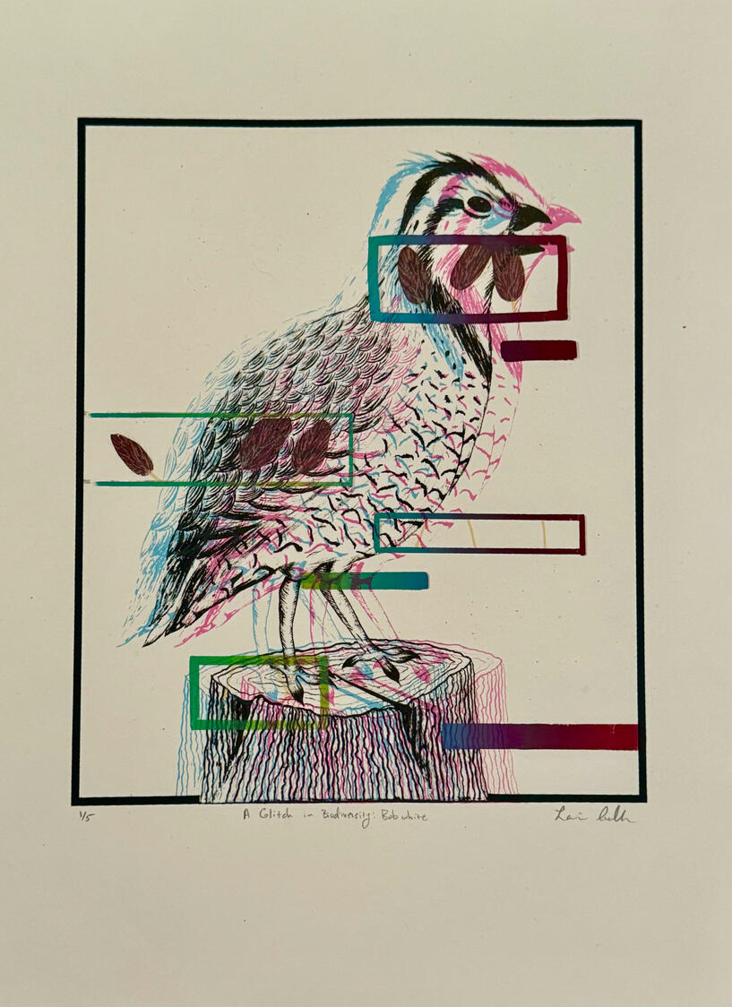 A Glitch in Biodiversity: Bobwhite, Photolithograph and Screenprint on Stonehenge, 11" x 15", 2022